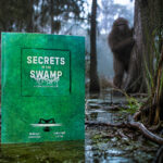Secrets in the Swamp Rätselbuch Puzzle Book Christine Little Rebecca Channon swamp