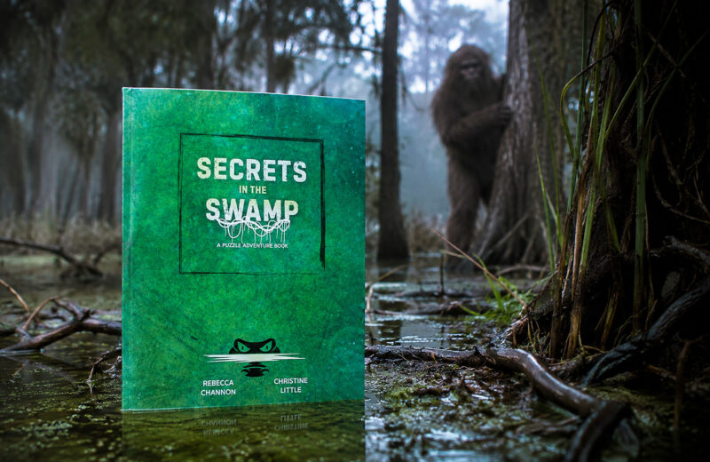 Das Buch „Secrets in the Swamp“ ist in einer Sumpflandschaft zu sehen, im Hintergrund schaut eine haarige Figur hinter einem Baum hervor.